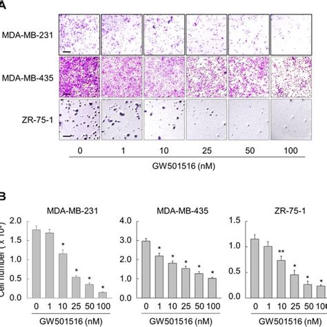 Activating Ppar Inhibits Migration Of Mda Mb Mda Mb And