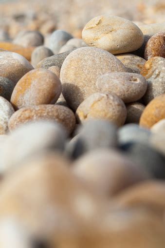 Chesil Beach Pebbles Stock Photo Download Image Now Beach Chesil