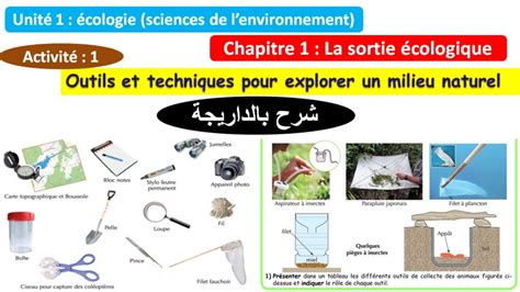 La sortie écologique outils et techniques pour explorer un milieu