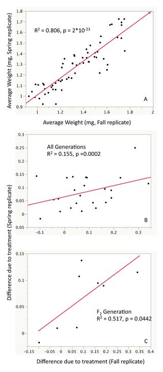 Genetic And Sex Specific Transgenerational Effects Of A High Fat Diet