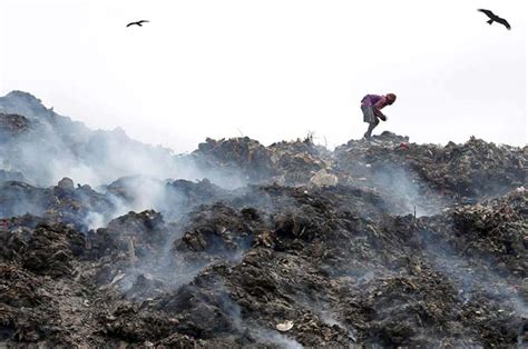 Contaminación del Suelo: Qué Es, Factores y Consecuencias | Twenergy