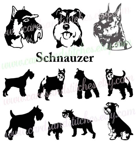 Schnauzer SVG Schnauzer Silhouette Digital Cutting File Graphic