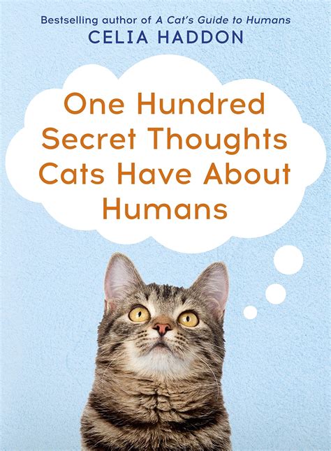 One Hundred Secret Thoughts Cats Have About Humans By Celia Haddon