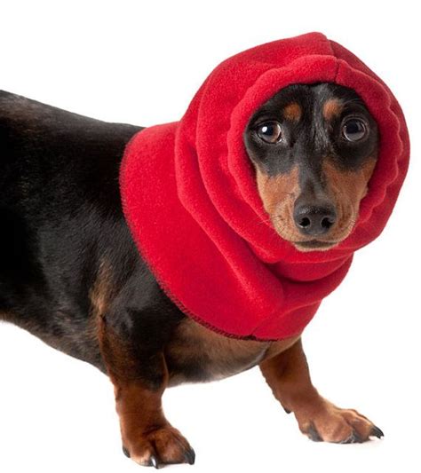 Miniature Dachshund Dog Hood Dog Hat Fleece Dog Snood Etsy Dog