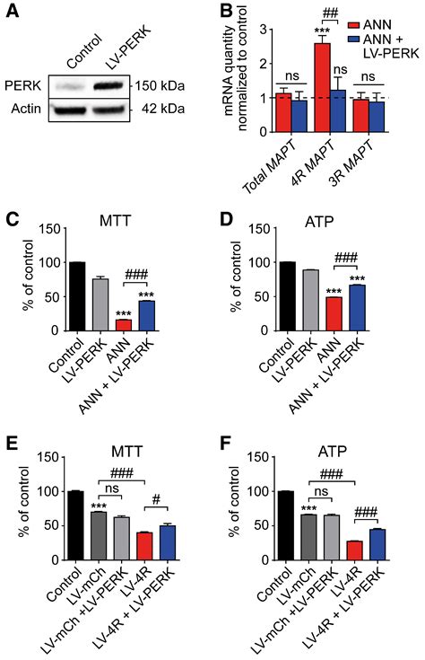 Perk Activation Mitigates Tau Pathology In Vitro And In Vivo Embo