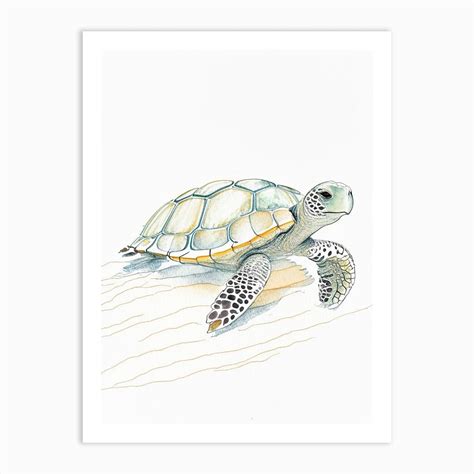 Conservation Sea Turtle, Sea Turtle Pencil Illustration 2 Art Print by ...