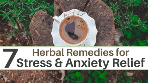 7 Herbal Remedies For Anxiety And Stress Relief A Natural Endeavor