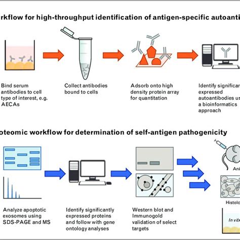 workflows highlighting  proteomic approaches