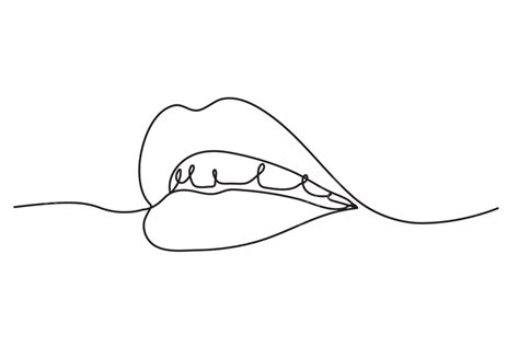 Continuous Line Drawing Vector Hd Images Continuous One Line Drawing