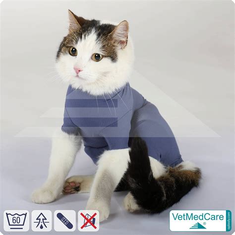 Katzen Kleintiere Kategorie Vetmedcare Op Body Shop