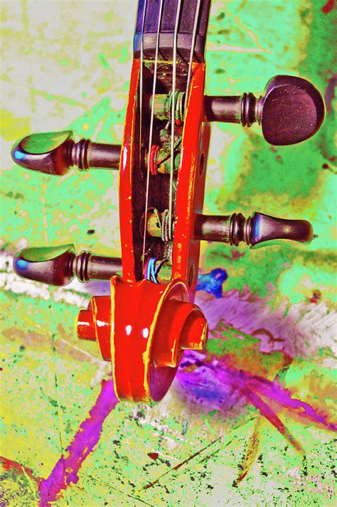 Fiddle Top Photograph By Adria Trail Fine Art America