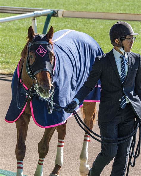 新馬戦回顧 メイクデビューの勝者達 2023年01月28日土 ウマフリ 競馬コラム＆ニュース