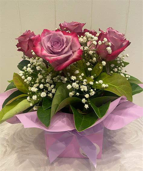 6 Mauve Roses & Gyp In Box - Buds 2 Bouquets