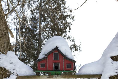 Red House Essa Township Ontario A Red Birdhouse Is Aba Flickr