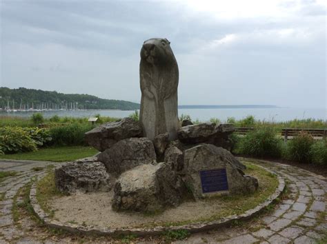 Wiarton Willie Statue - Check Out The Wiarton Willie Statue In Wiarton ...