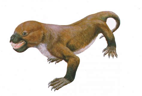 Mammal-like reptile survived much longer than thought