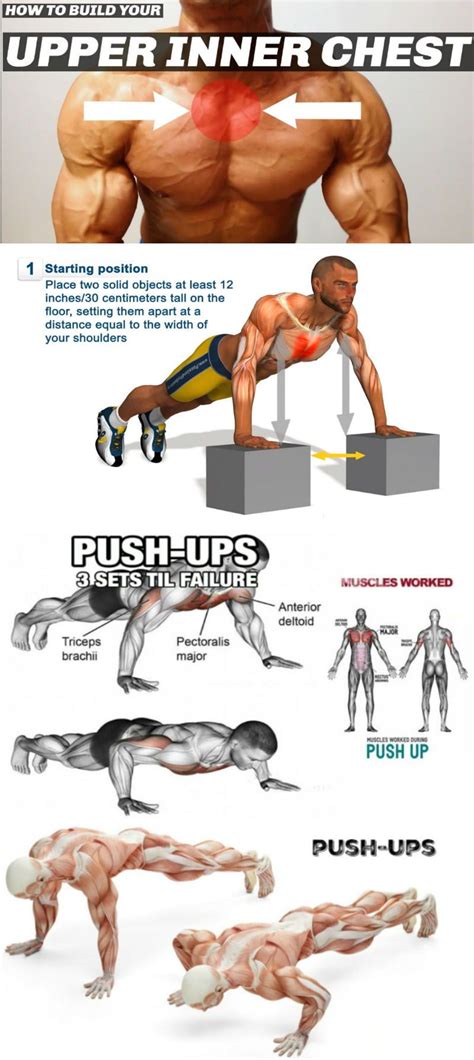 24 Push Up Variations And Muscle Groups Beginner Perfectabsworkout