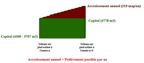 Plan De Gestion Des Haies Boisbocageenergie