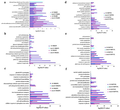 Genes Free Full Text Differential Alternative Splicing Genes In