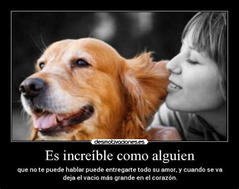 Frases De Amor A Los Perros