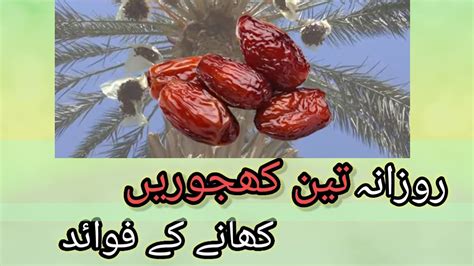 Benefits Of Eating 3 Dates Daily Amazing Health Benefits Of Dates In