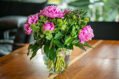 Peonies In Vase Pink Peony Flowers Blooming In Glass Vase In Modern