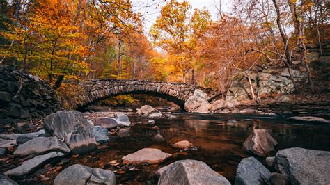 Best Places To See Fall Foliage In Washington Dc Photo Guide