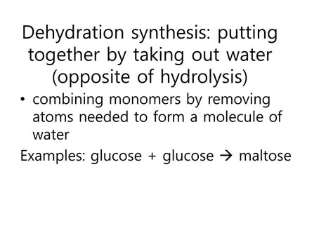 PPT - Hydrolysis and dehydration synthesis PowerPoint Presentation ...