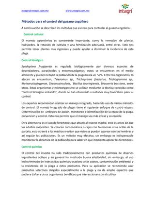 Manejo Del Gusano Cogollero PDF