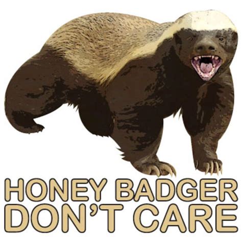 Honey Badger Cartoon Meme An Element Of A Culture Or System Of