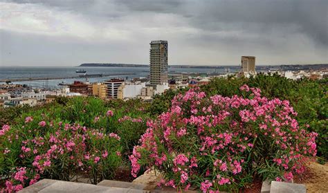 Alicante Desde El Casco Enamorados De Alicante