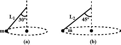 Two Particles Tied To Different String Are Whirled In A Horizontal