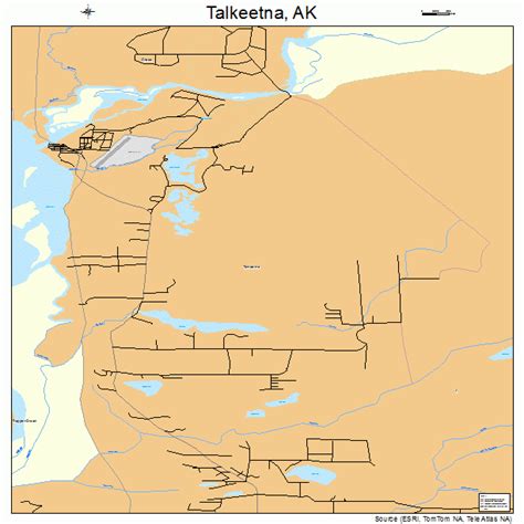 Talkeetna Alaska Street Map 0274830