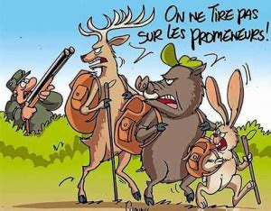 Dates Battues De Chasse 2021 2022 Commune De Lembach