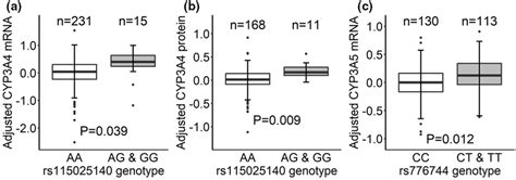 Association Between Two Drr Snps And Cyp3a4 Or Cyp3a5 Expression