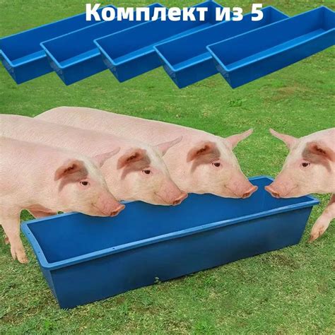 Пластиковая кормушка, поилка / для кормления свиней, лошадей, крупного ...