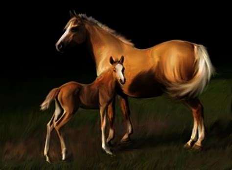 Mare And Foal Painting By Shere Crossman