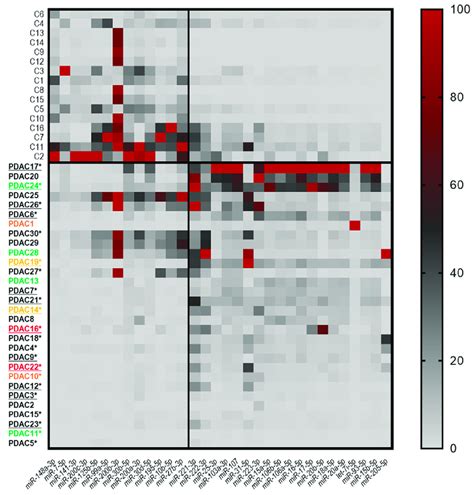 Heat Map Representing The Expression Of The 32 MiRNAs Found To Be