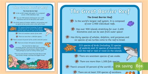 Great Barrier Reef Large Information Poster