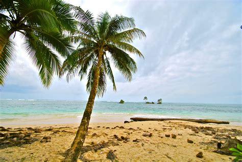 panama worldly nomads