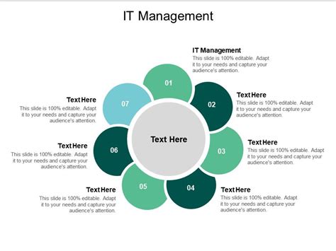 It Management Ppt Powerpoint Presentation Show Example Cpb