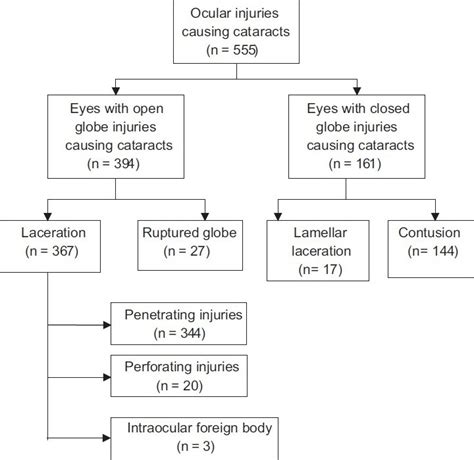 Distribution Of Trauma According To Birmingham Eye Trauma Terminology Download Scientific