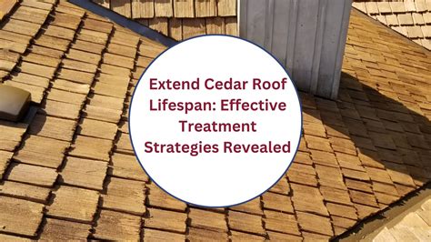 Extend Cedar Roof Lifespan Effective Treatment Strategies Revealed