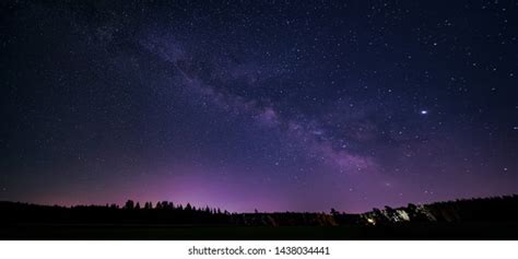 53828 Birds In The Night Sky Images Stock Photos And Vectors Shutterstock