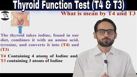 Thyroid function test | T4 and T3 | Free T4 and Free T3 - YouTube