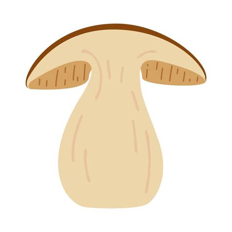 Premium Vector Boletus Edulis Forest Mushroom Hand Drawn Porcini