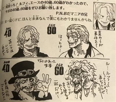 Pin By Hirukawa Kuroi On One Piece One Piece Manga One Piece