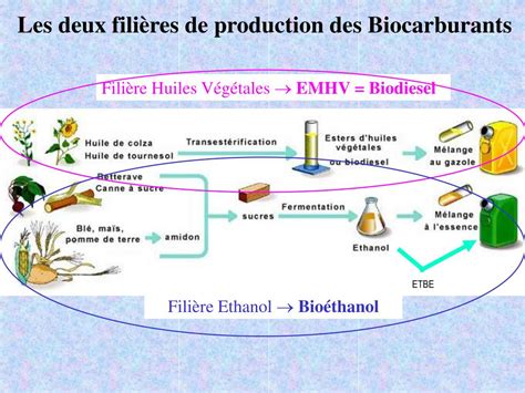 PPT Pourquoi Et Comment Les Biocarburants PowerPoint Presentation