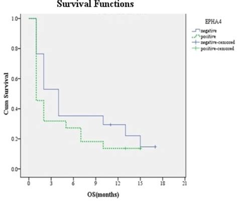 Flt Internal Tandem Duplication Mutation Cmpl And Cd Expressions