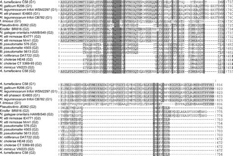 Vgrg C Terminus Confers The Type Vi Effector Transport Specificity And